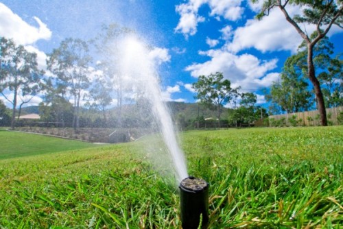 Are Your Sprinklers Watering Evenly?